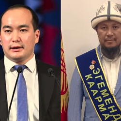 Тагаевдин Тукуновдон эмнеси кем?