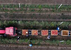 ВИДЕО - Поставки российского продовольствия за рубеж в 2022 году увеличились почти на 12%