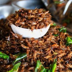 Катарда эми курт-кумурскаларды жегенге болбойт