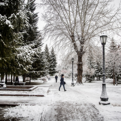 6-февралга карата Кыргызстанда күтүлгөн аба ырайы