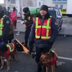 Түркиядагы трагедия: Кыргызстандын куткаруучулары эң көп жабыркаган шаарга келишти