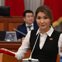 Депутат Айдарова ИИМ башчысынын орун басары Бийбосунов качып жүргөнүн айтты