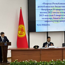 Акылбек Жапаров начар иштеген бажы кызматкерлери жумуштан алынарын эскертти