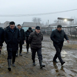 Жапаров Сурабалдиевага тиешелүү Сокулуктагы мал базарды жаап, өзүнүн базарына көчүргөнбү?..