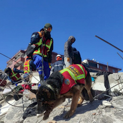 Кыргызстандык куткаруучулар Түркияда 4 адамды куткарып, 104 жарандын сөөгүн чыгарды