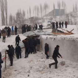 ВИДЕО - Тажикстанда тилсиз жоодон 10 адам өлдү