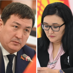 Депутат министрдин орун басарына тарыхты окуп коюуну сунуштады