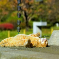 +18. 23-февралга карата аба ырайы