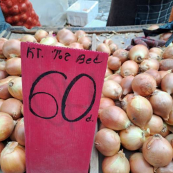 Пияз экспорттоого салынган тыюу алынды