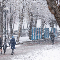 Күн сууктап, кар жаайт. 25-февралга карата аба ырайы
