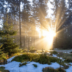 Кыштын акыркы күнү. 28-февралга карата аба ырайы