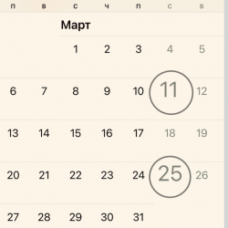 В Кыргызстане две субботы в марте будут рабочими днями