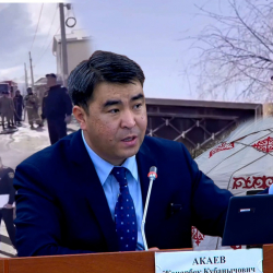 ВИДЕО - Депутат: 6 небереси менен көчөдө калган жаран өз өмүрүнө кол салганы жатат