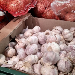 Из Кыргызстана можно вывозить лук и чеснок. Запрет снят