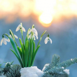 9-мартка карата аба ырайы