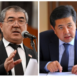 Депутат Тайырбек Сарпашевге карата токтотулган кылмыш ишин көзөмөлгө алууну суранды