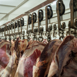 Арабским странам интересны поставки мяса из Кыргызстана – депутат ЖК