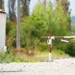 ТИМ кыргызстандыктарды Тажикстанга болгон сапарынан баш тартууга чакырды