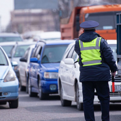 Президент Садыр Жапаровдун бул кадамын колдоо зарыл