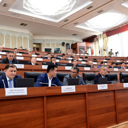 Депутаттар 10 күн бою аймактарды кыдырат