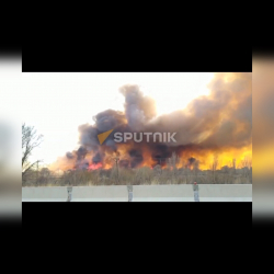 Боомдогу тилсиз жоону жоюуга өрт өчүрүүчүлөр жана токой чарба кызматкерлери тартылды