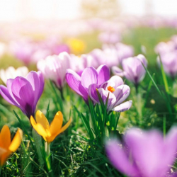 Апрель айына күтүлгөн аба ырайынын божомолу