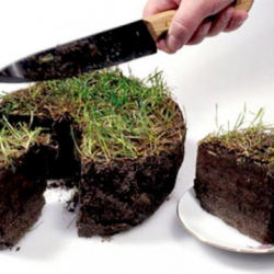 Возбуждено уголовное дело на должностных лиц местного самоуправления продавших земельные участки