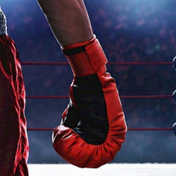 Кыргызстандык беш боксчу Сербияда өтө турган эл аралык мелдешке катышат. Тизме