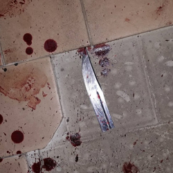 Под Москвой 14-летнюю дочь и трех ее знакомых обвинили в убийстве матери