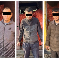 Тонналаган пиязды мыйзамсыз чет өлкөгө алып чыгууга аракет кылгандар кармалды