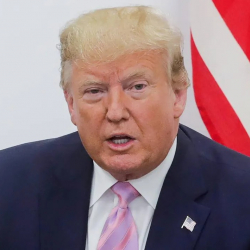 Дональд Трамп: 