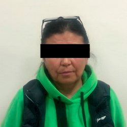 Ак-Ордо конушундагы жер мафиясы боюнча дагы бир жаран кармалды