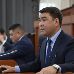 Депутаттар  Акаевдин 