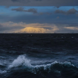 Океандардын бетиндеги температура рекорддук чекке жетти
