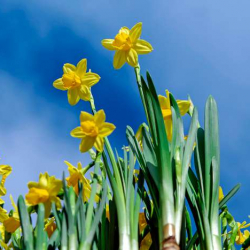 32 градуска чейин ысык болот. 14-апрелде күтүлгөн аба ырайы