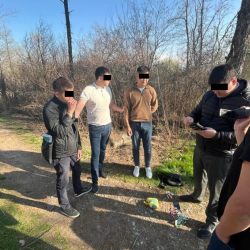 СҮРӨТ - Мектеп окуучуларынан 11,8 млн сомдук баңгизат алынды