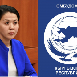 Акыйкатчы институтунун жамааты Атыр Абдрахматовага каршы Ачык кат жолдошту