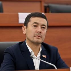 Кустуруудан пайда аз. Депутат паракорлукту токтотуунун башка жолун сунуштады