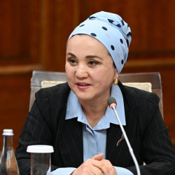 Экс-министр Дамира Ниязалиева депутаттыкка ат салышат