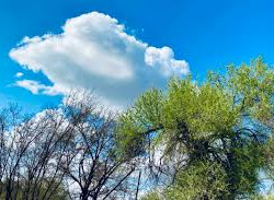 20-апрелге карата аба ырайы