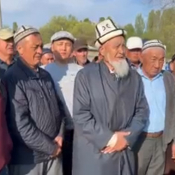 ВИДЕО - Родители пострадавших в ДТП школьников обратились к президенту