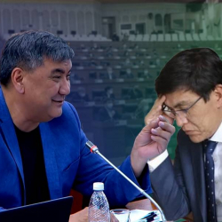 ВИДЕО - Матраимов дасыккан саясатчы катары Эдил Байсаловго кеңеш берди