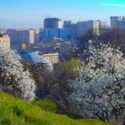 30-апрелге карата аба ырайы