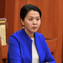 Акыйкатчы Атыр Абдрахматова өзүнүн кызматтан алынышы тууралуу пикирин билдирди