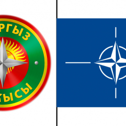 ФОТО – НАТО или ГТС? Кабмин изменил эмблему Таможенной службы из-за схожести с известным флагом