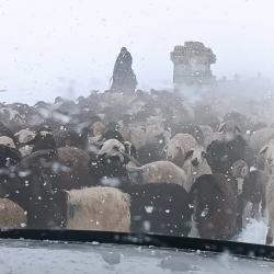 Ат-Башыда өзгөчө кырдаал режими алынды