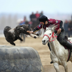 Көк бөрү: «Достук» «Сары-Өзөндү» 9:3 эсебинде утуп алды