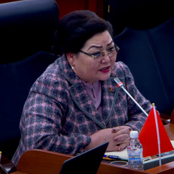 Депутат: Элди ыйлатпай эки райондун акимдери кызматтан кетсин