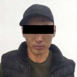 Кулиев көчөсүндө аял киши мыкаачылык менен өлтүрүлгөн. Шектүү кармалды