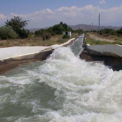 Каналдан изделип жаткан өспүрүм үйүнө жакын жерден табылды
